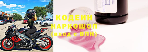 эйфоретик Бородино