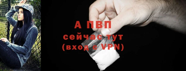 эйфоретик Бородино