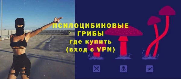 ПСИЛОЦИБИНОВЫЕ ГРИБЫ Бугульма