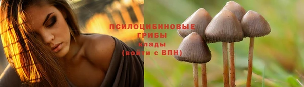 эйфоретик Бронницы