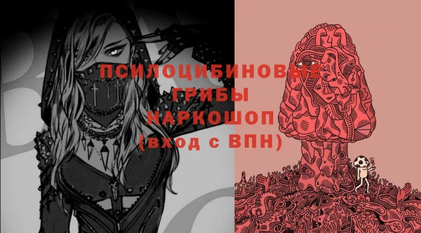 эйфоретик Бородино